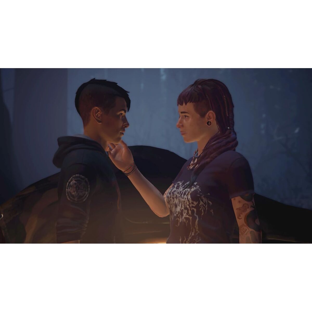 Video game for Switch Square Enix Life is Strange 2