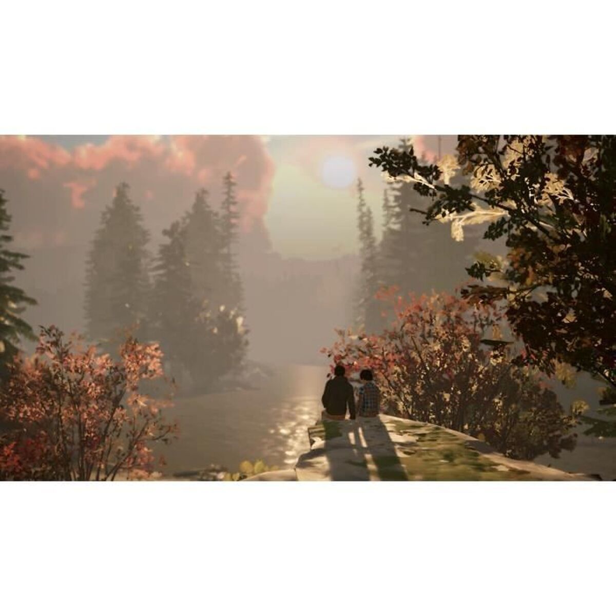 Video game for Switch Square Enix Life is Strange 2