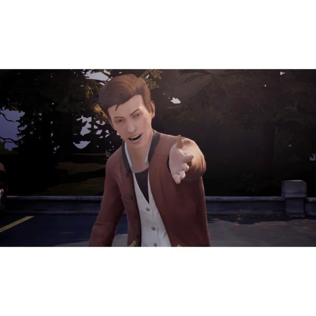 Picture of Video game for Switch Square Enix Life is Strange Arcadia Bay Collection