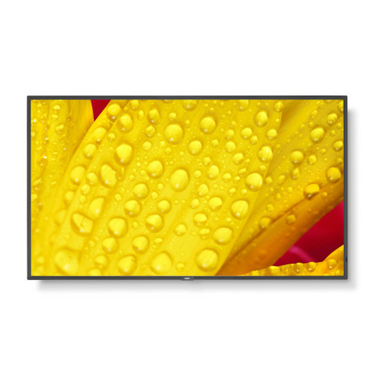 Picture of Monitor NEC 60006084 50" 4K Ultra HD