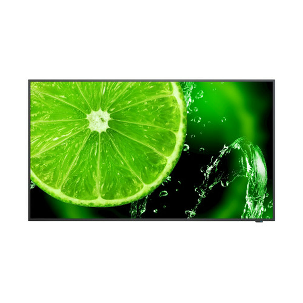 Afbeeldingen van Gaming Monitor NEC 60006113 Full HD 32"