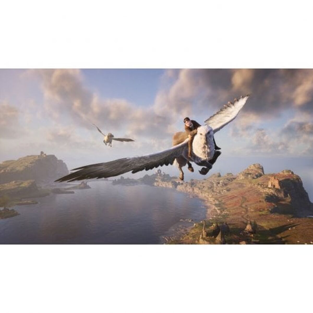 Video game for Switch Nintendo Hogwarts Legacy: The legacy of Hogwarts