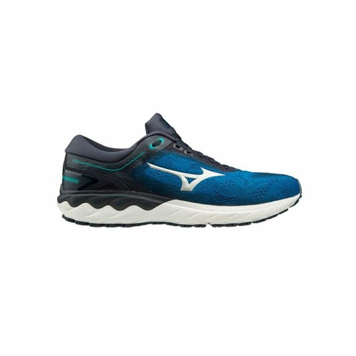 Chaussures de Running pour Adultes Mizuno Wave SkyRise Bleu Homme