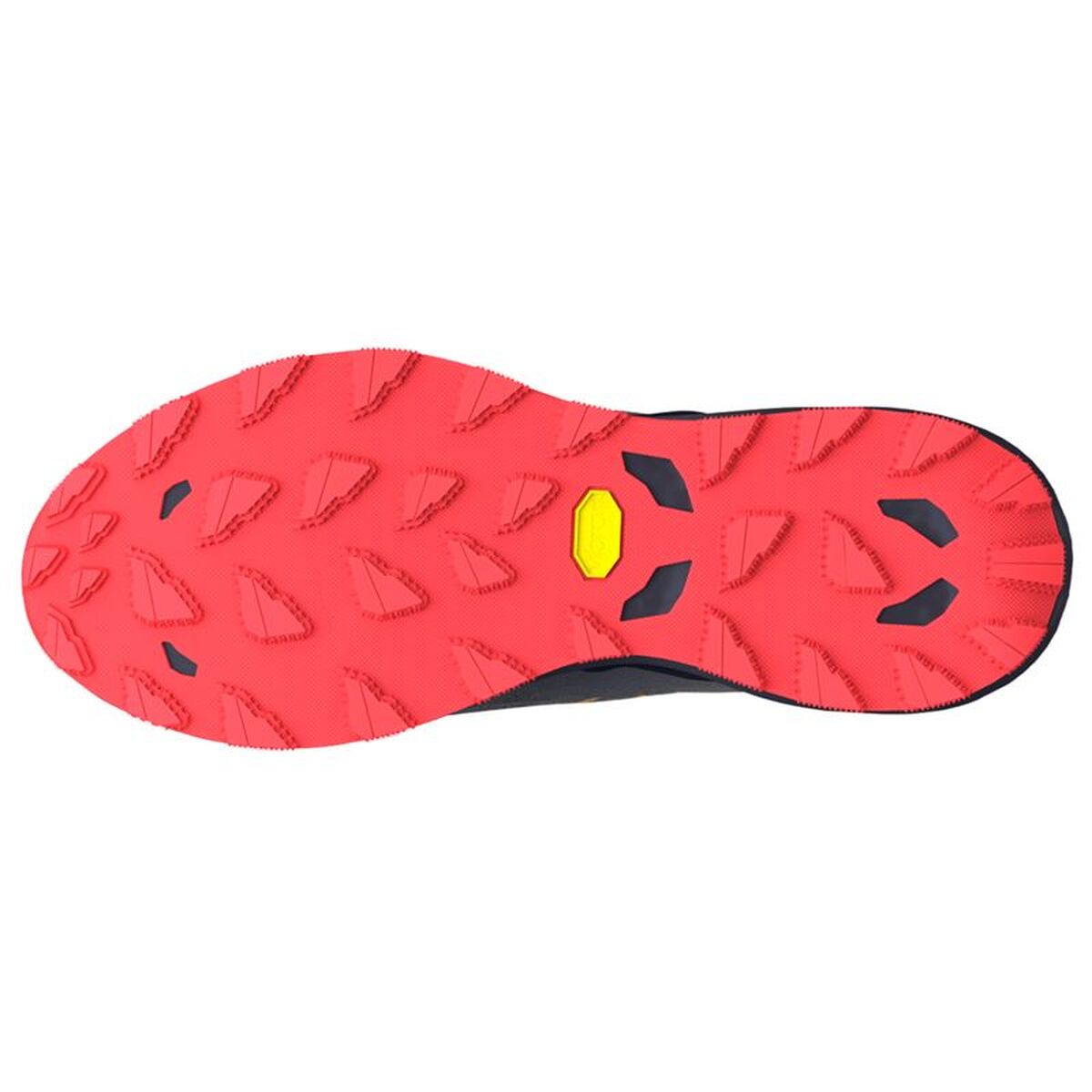 Heren trail hardloopschoenen (berglopen) Mizuno Wave Daichi 9 Donker grijs