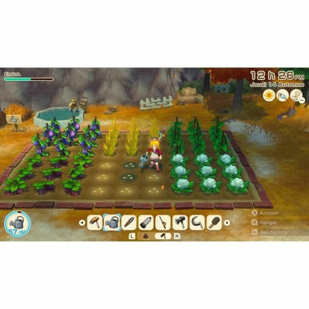 Afbeeldingen van Video game for Switch Just For Games Story of Seasons: Grand Bazaar