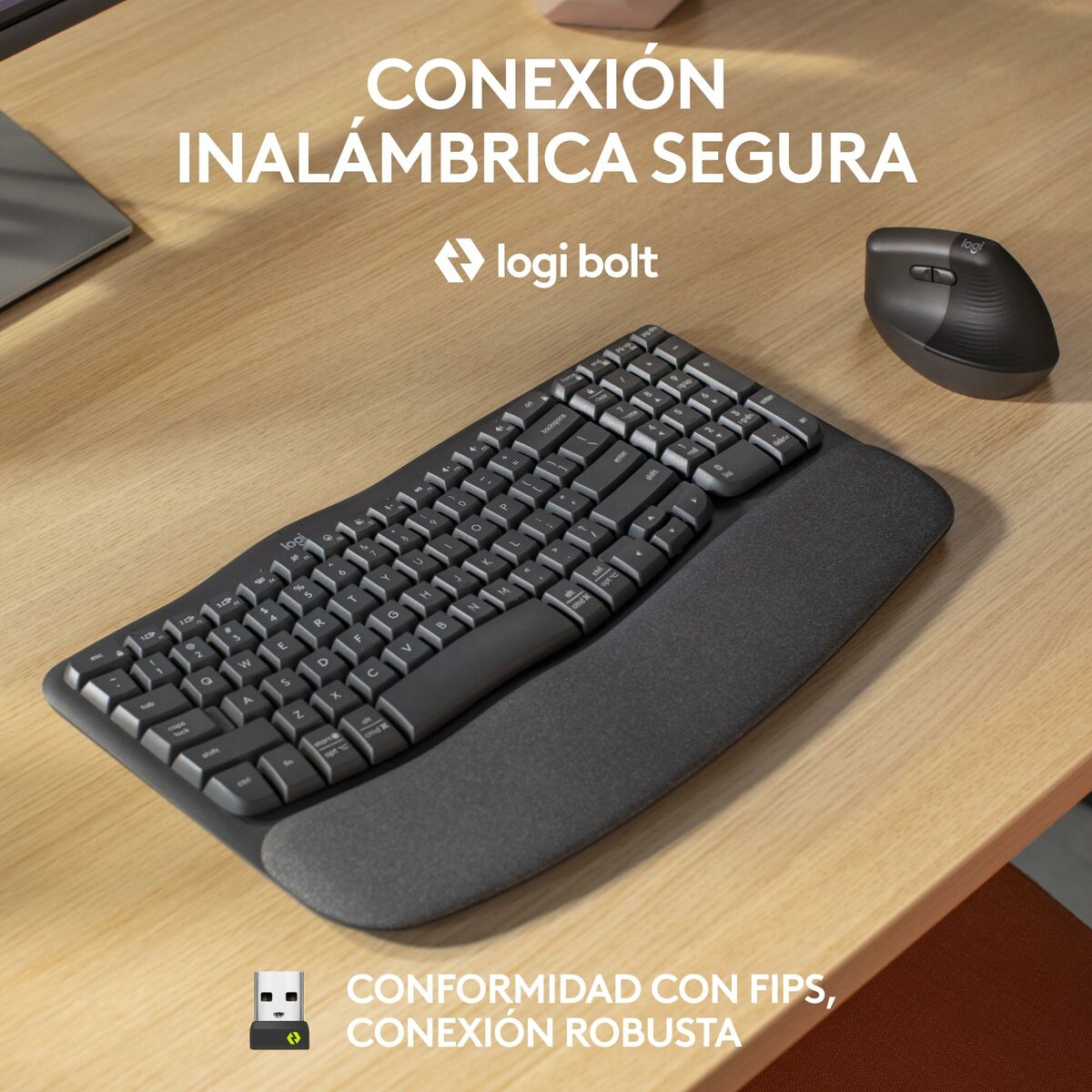 Afbeeldingen van Keyboard and Mouse Logitech Graphite Steel Spanish Qwerty