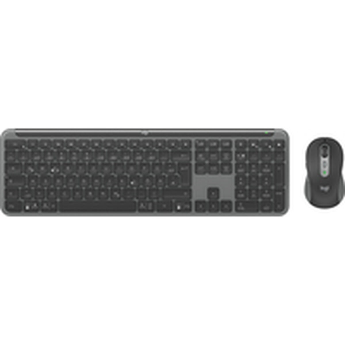 Afbeeldingen van Keyboard and Mouse Logitech 920-012504 Graphite German QWERTZ