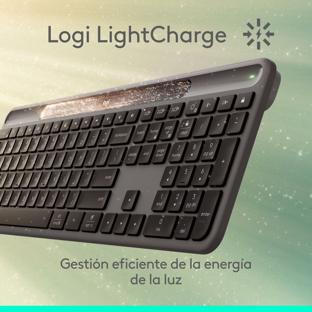 Bild von Keyboard and Mouse Logitech 920-013760 Graphite Spanish QZERTY