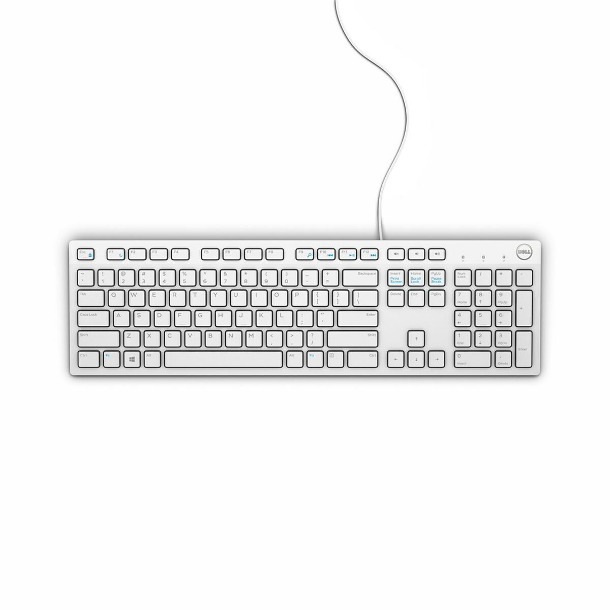 Afbeeldingen van Keyboard Dell KB216 White QWERTY