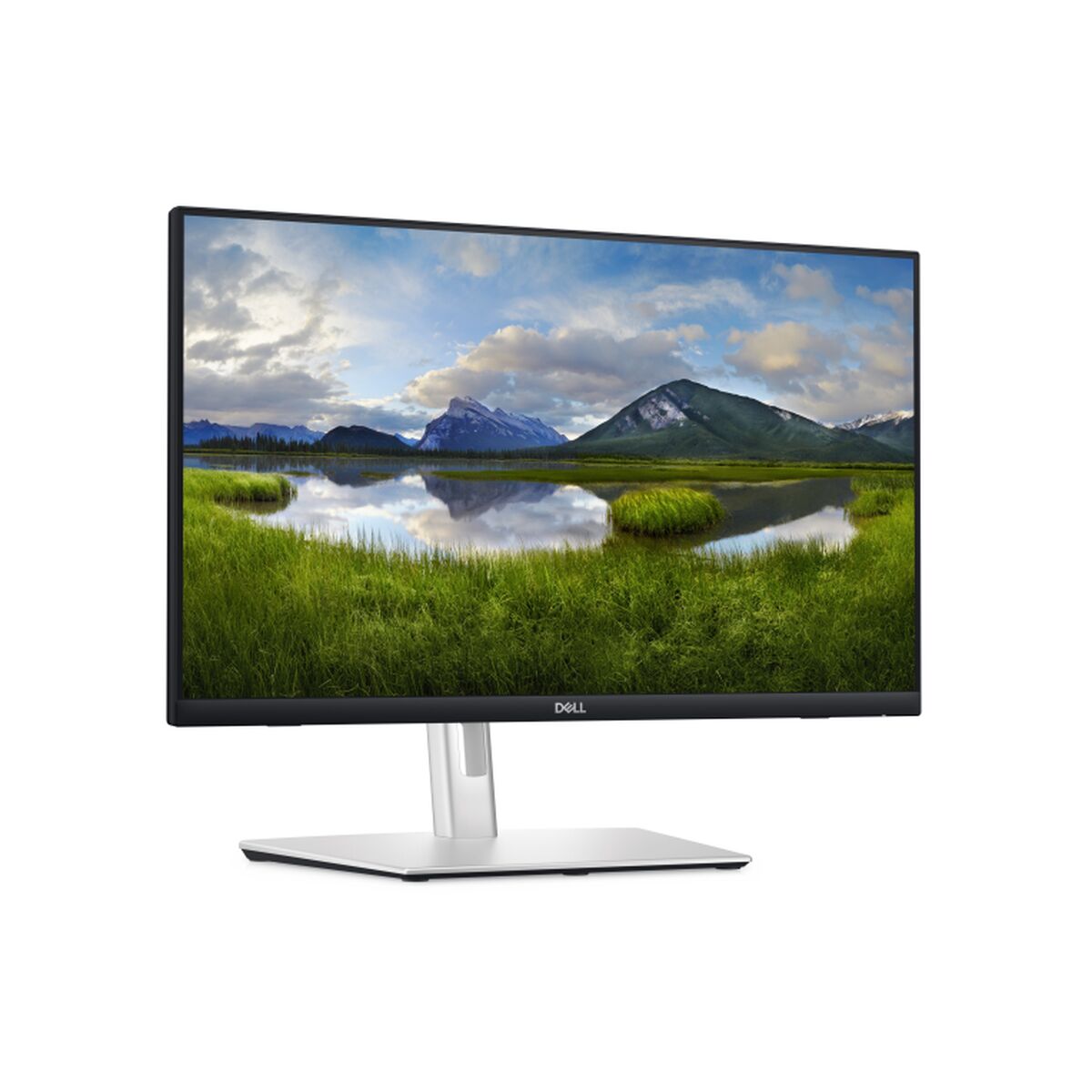 Picture of Monitor Dell P2424HT Full HD 23,8"