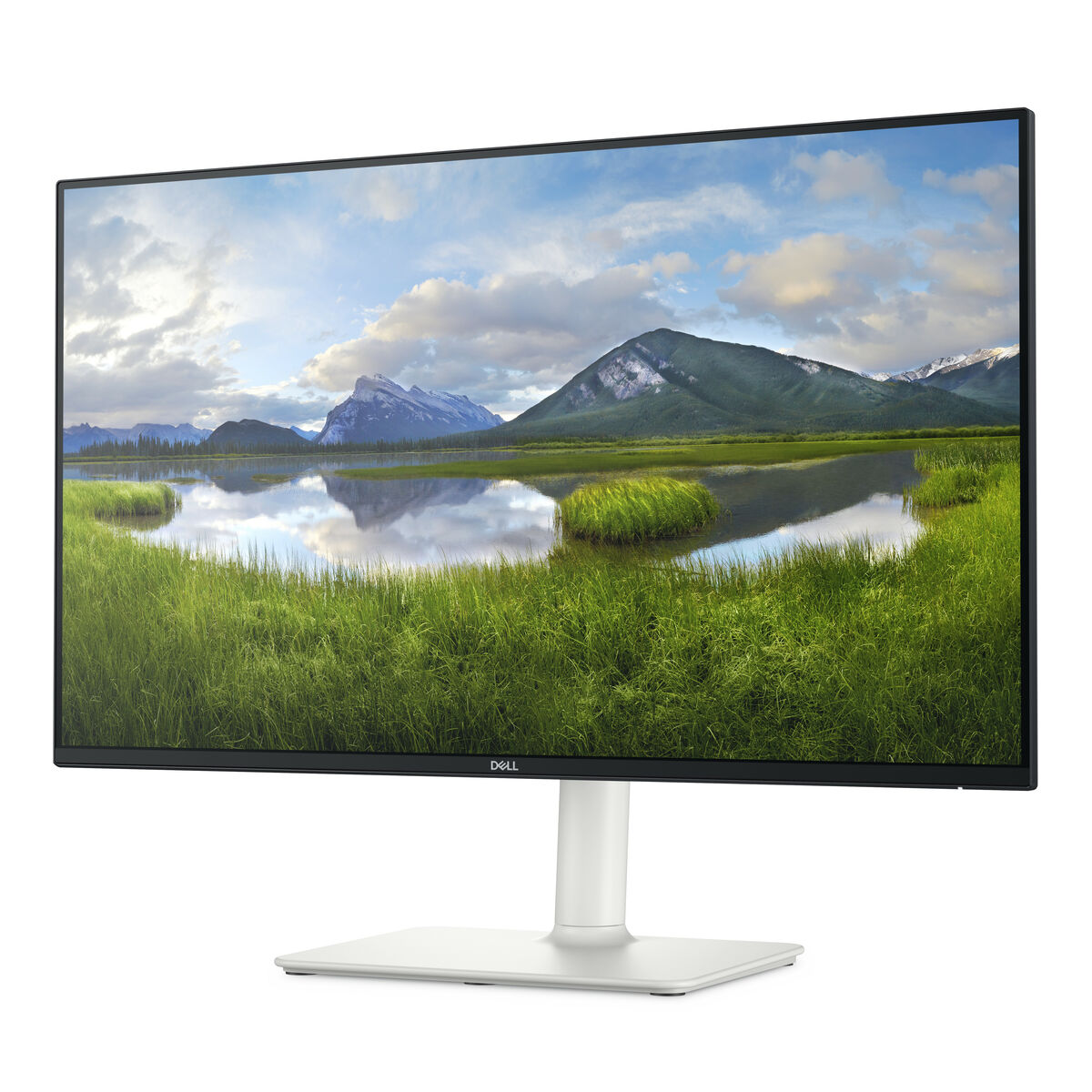 Afbeeldingen van Gaming Monitor Dell DELL-S2725HS 27" Full HD