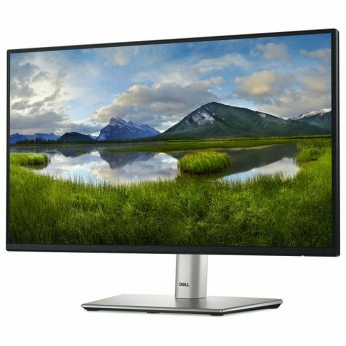 Picture of Monitor Dell DELL-P2225H Full HD 21,5"
