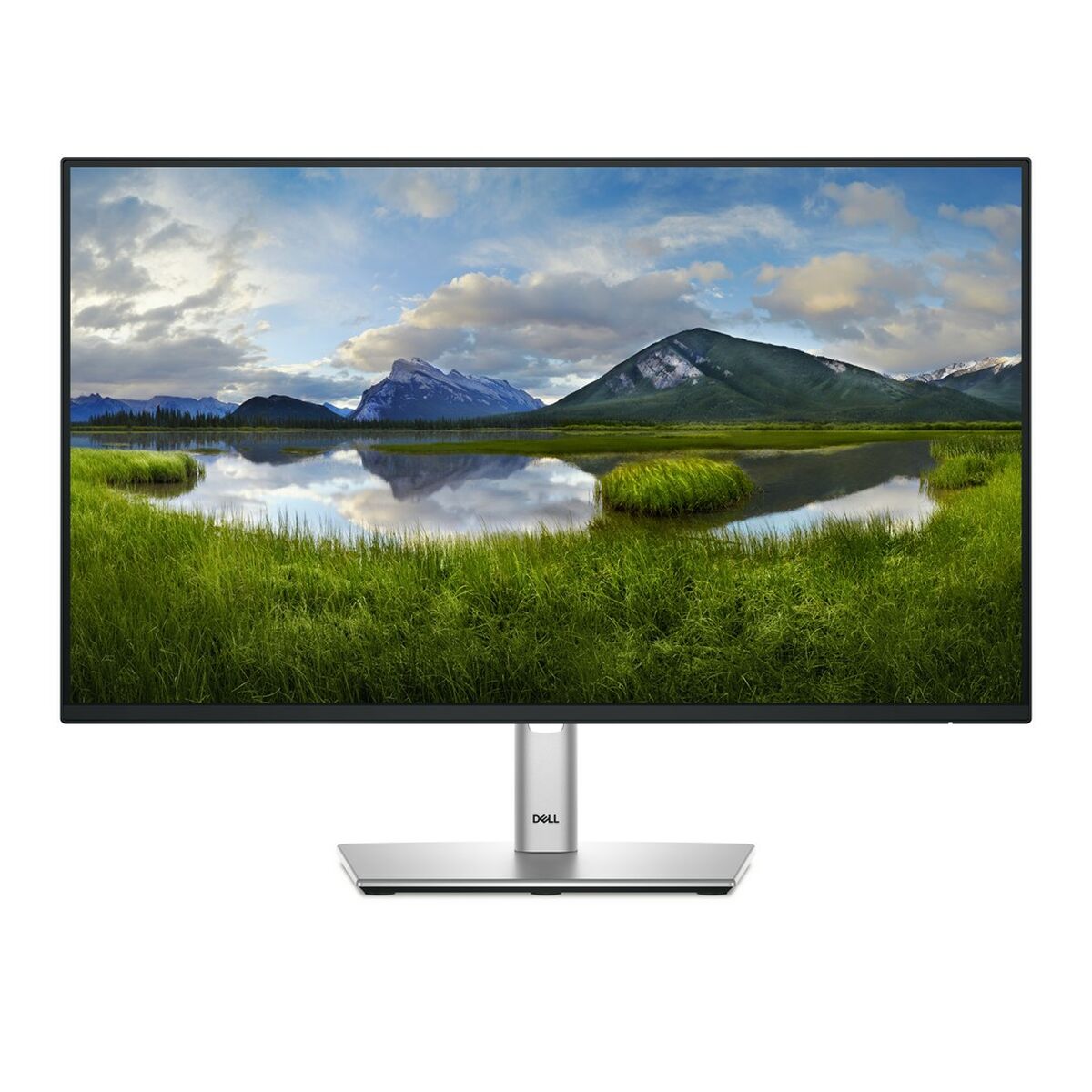 Picture of Monitor Dell P2425H Full HD 24" 100 Hz
