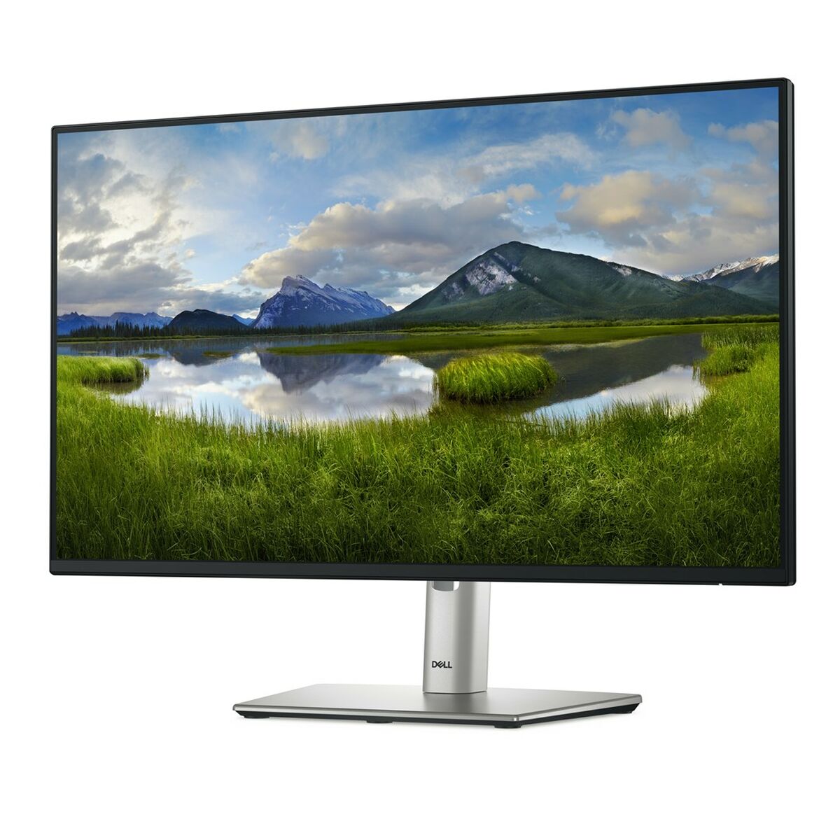 Picture of Monitor Dell P2425H Full HD 24" 100 Hz