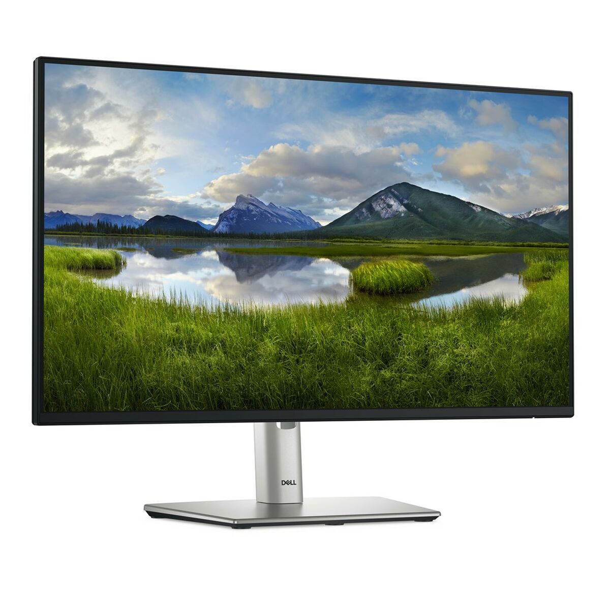 Picture of Monitor Dell P2425H Full HD 24" 100 Hz