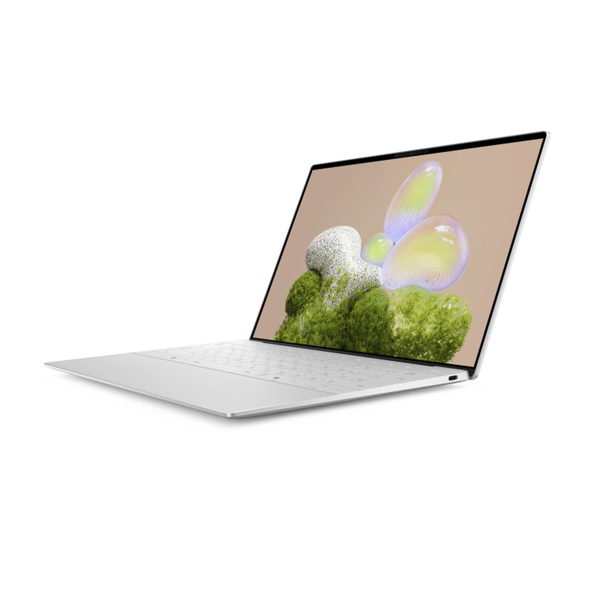 Afbeeldingen van Laptop Dell 1J7RV
