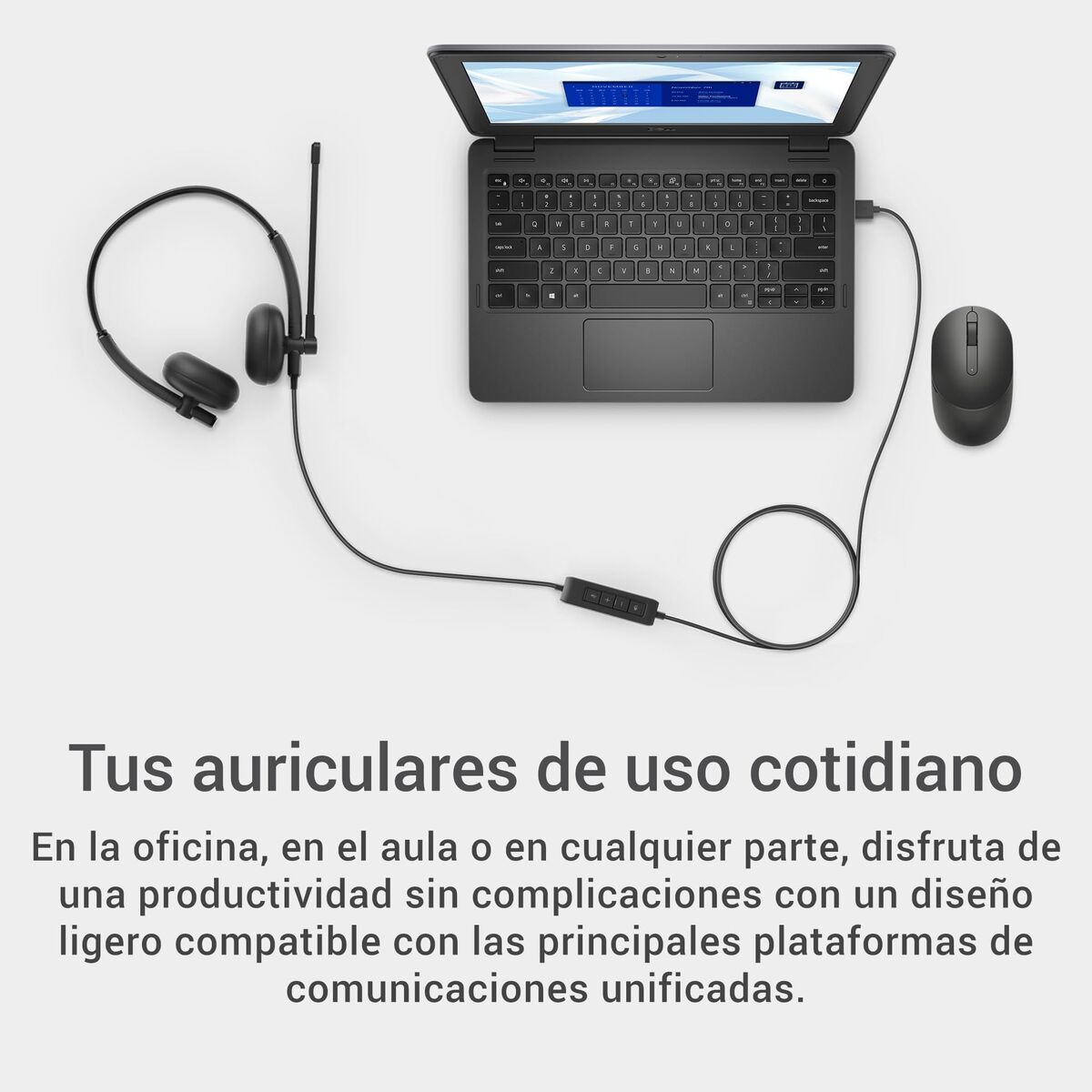 Ausinės su mikrofonu Dell WH125-DWW