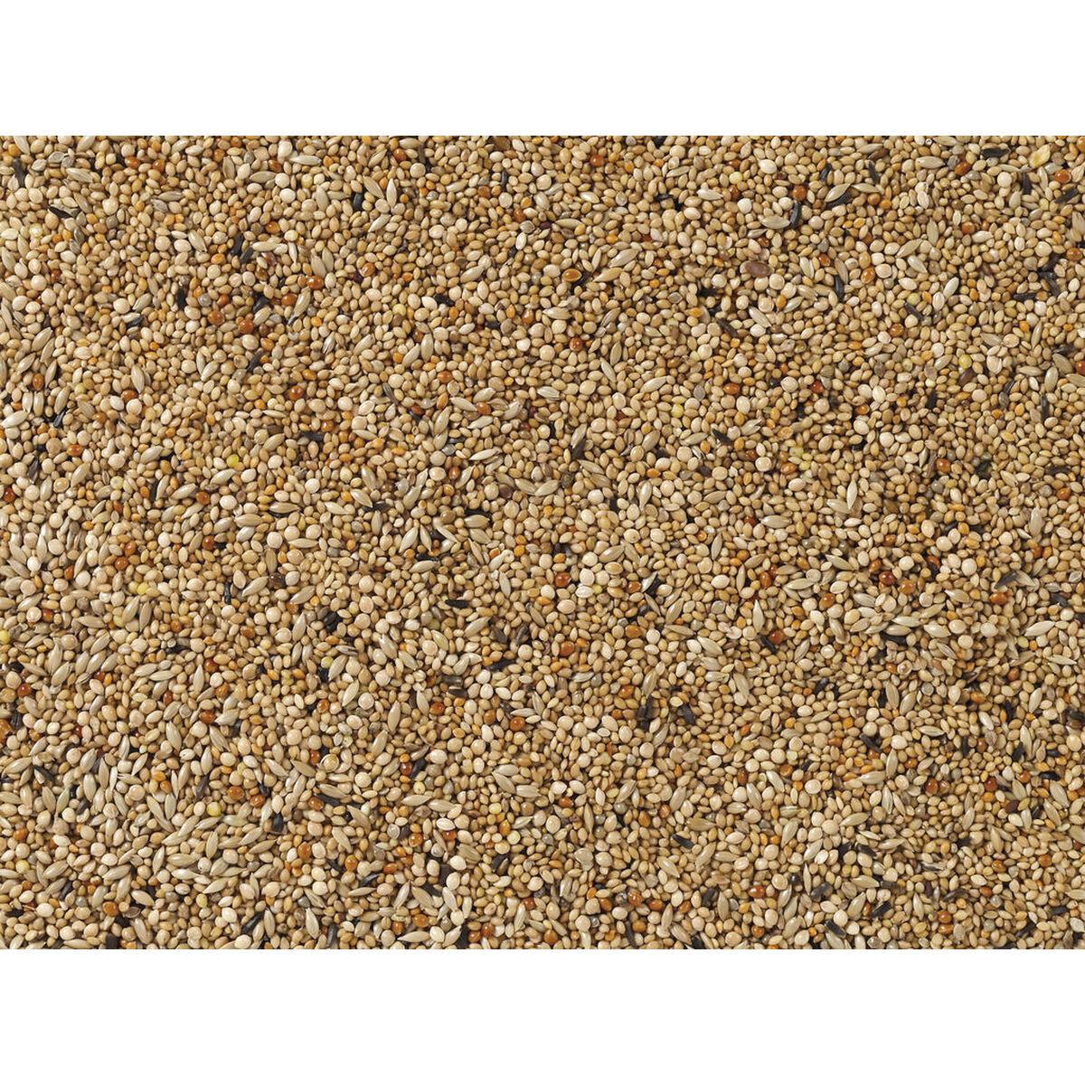 Vogelvoer Deli Nature Premium 1 kg