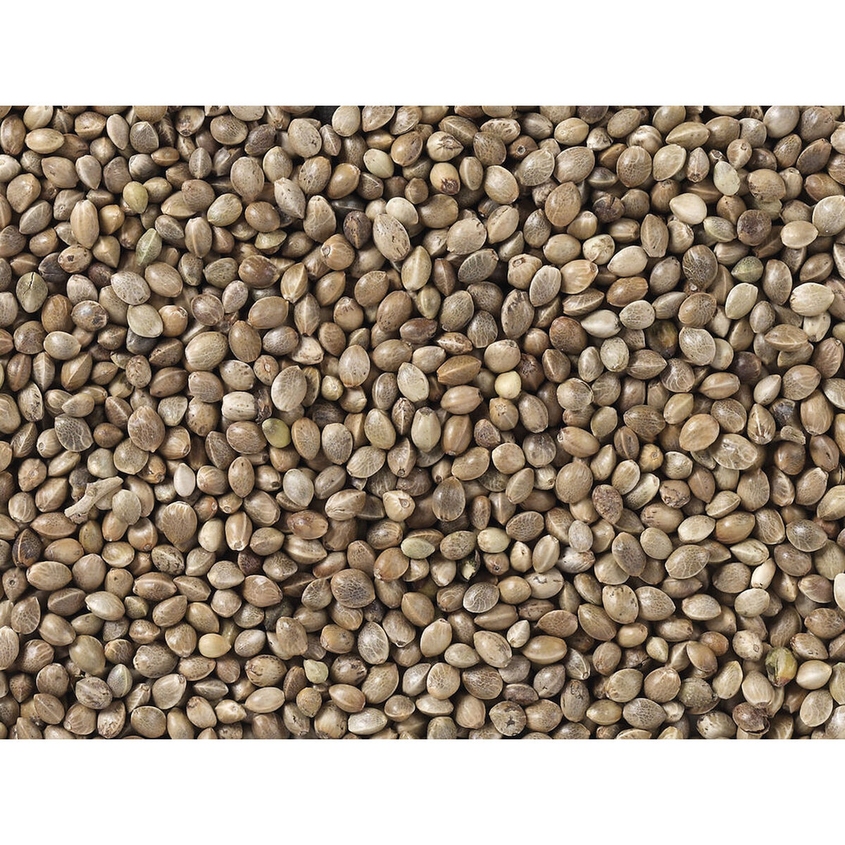 Vogelvoer Deli Nature Premium