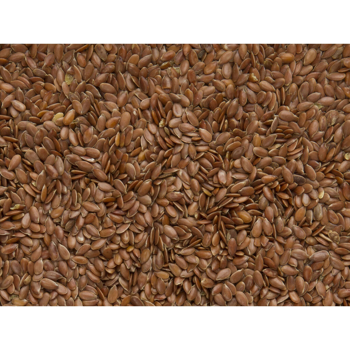 Vogelvoer Deli Nature Premium