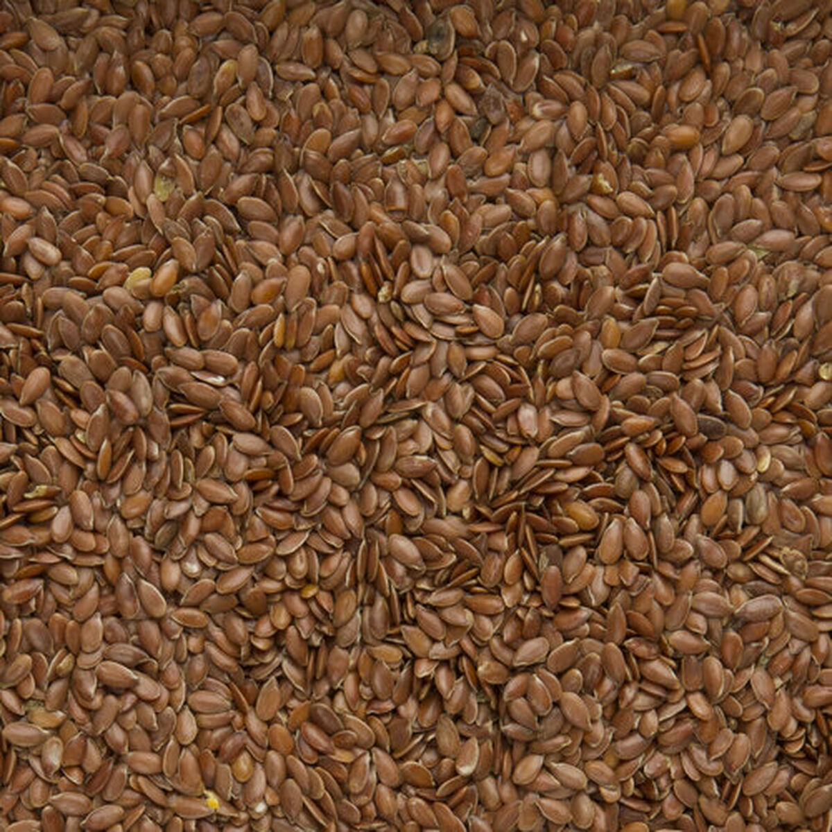 Vogelvoer Deli Nature Premium