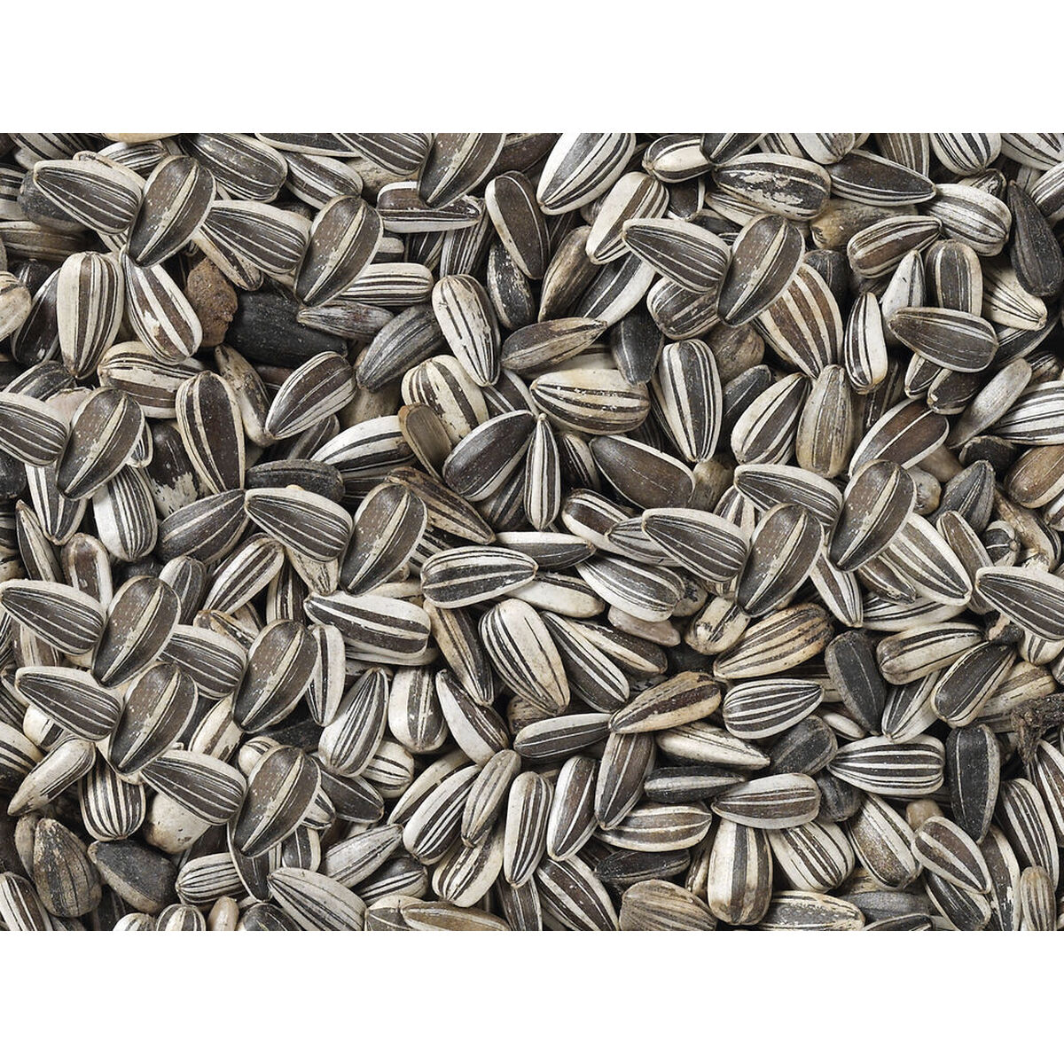 Vogelvoer Deli Nature Premium 2,5 kg