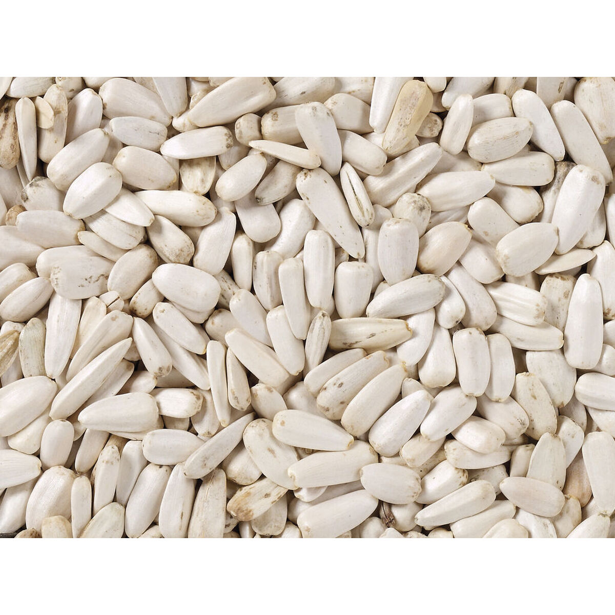 Bird food Deli Nature 2 Kg Sunflower Seeds, view 3