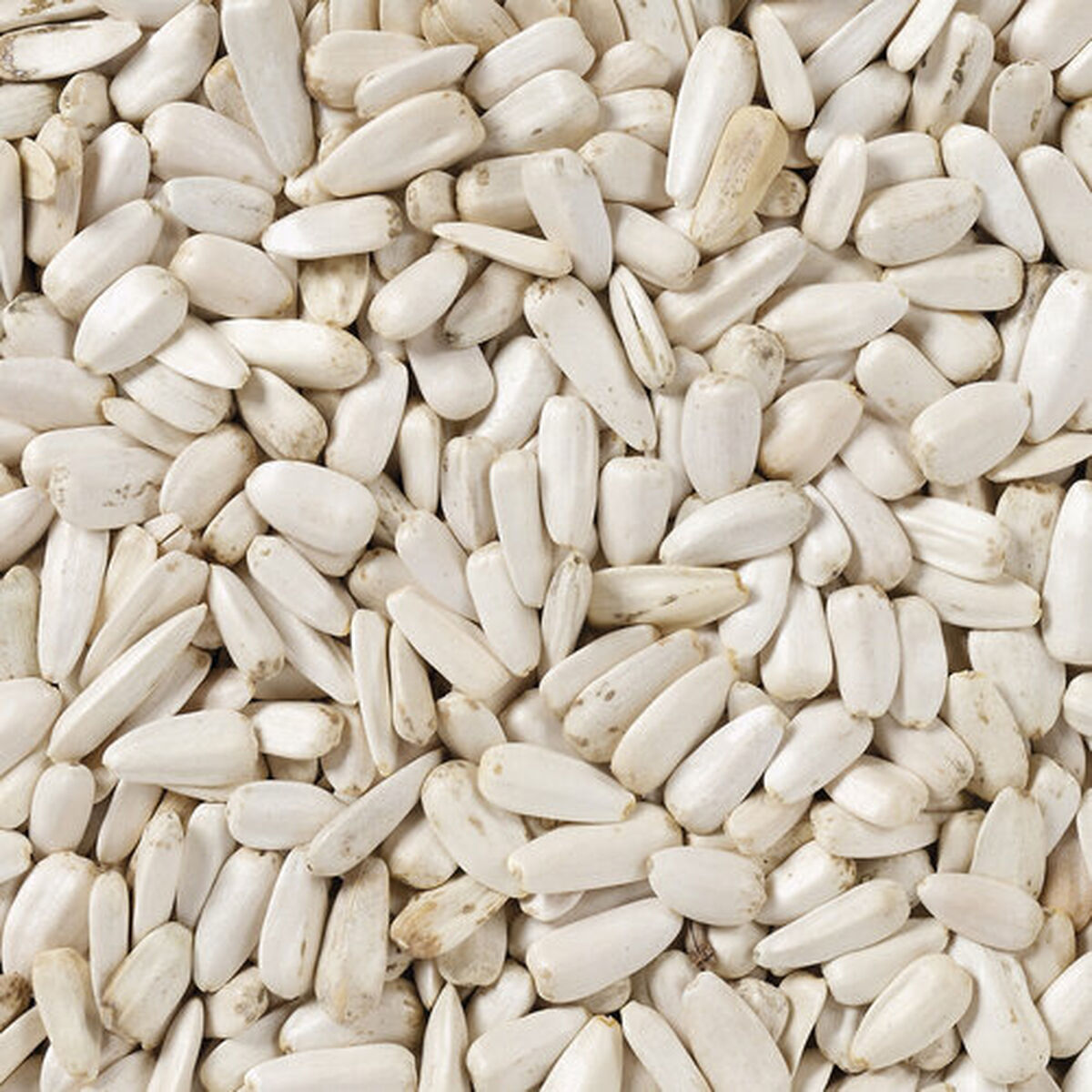 Bird food Deli Nature 2 Kg Sunflower Seeds, view 4
