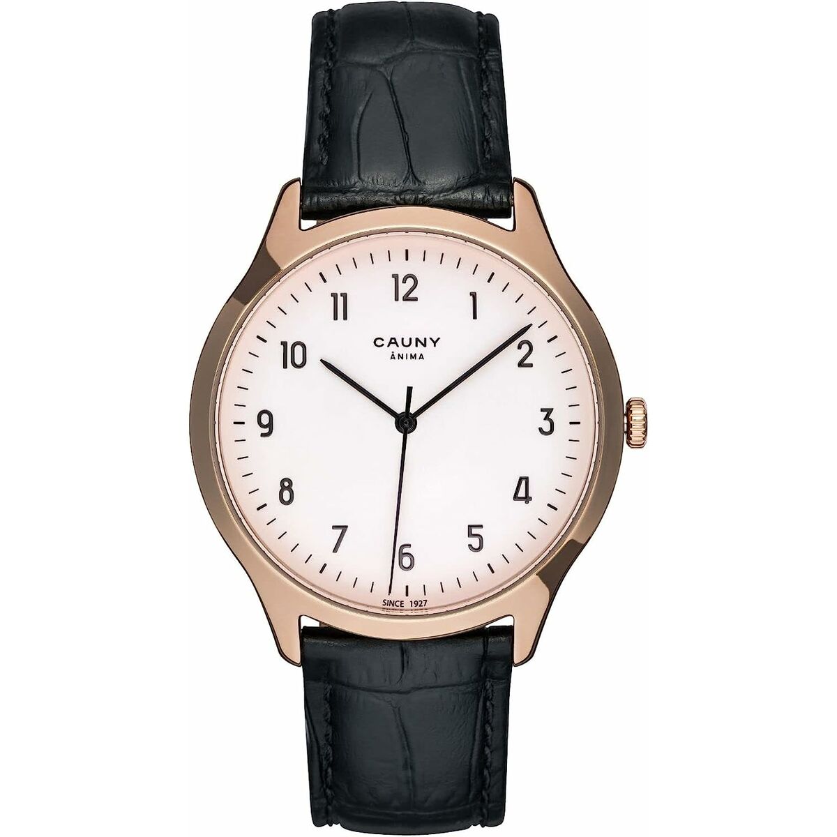 Montre Homme Cauny CAN002