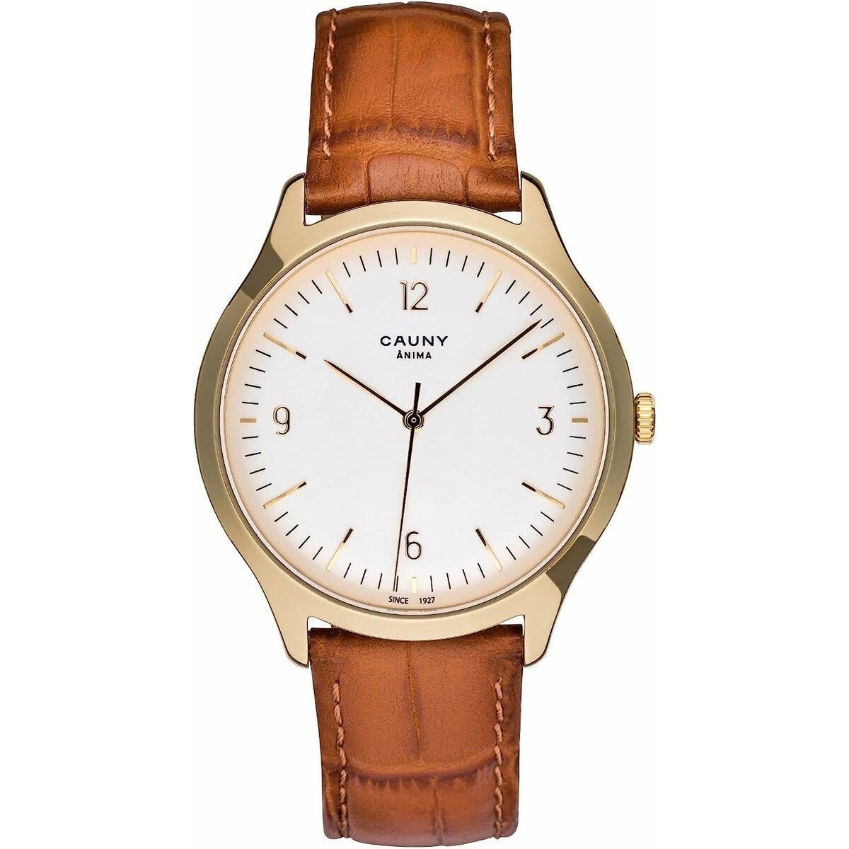 Montre Homme Cauny CAN004