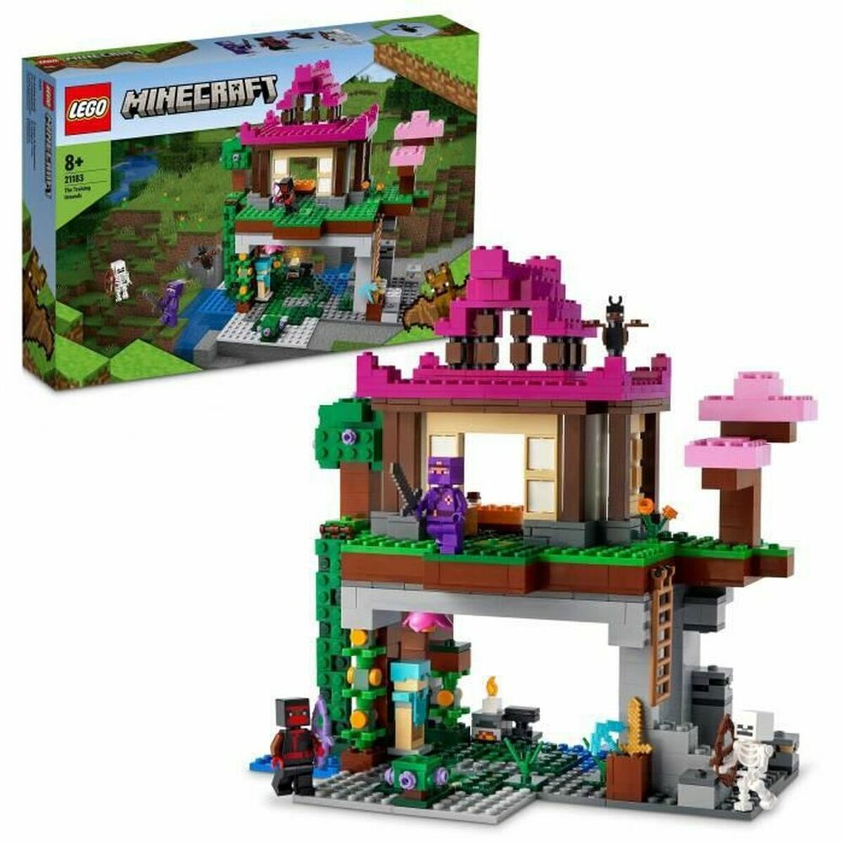 Playset Lego 21183 Minecraft Training Camp, Cave House (534 Pièces)