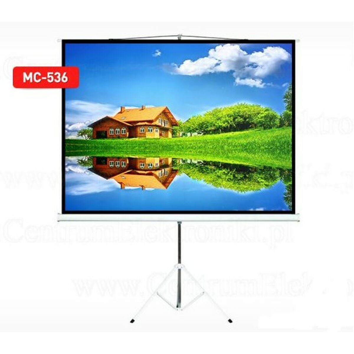 Φορητή Οθόνη MacLean MC-536 72"
