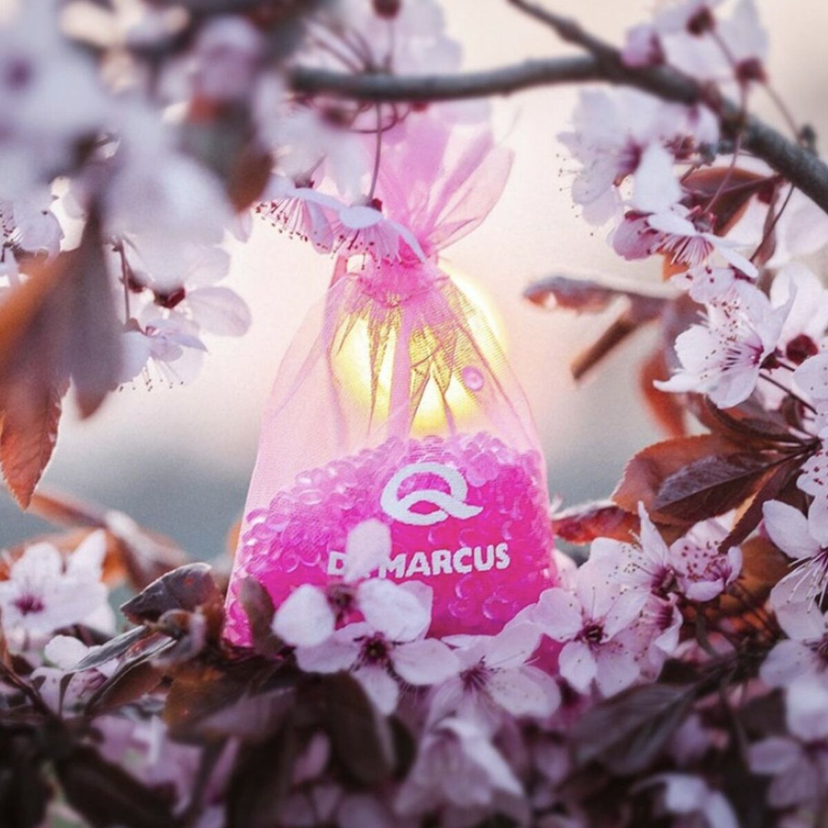 Image secondaire de Désodorisant Pour Voiture Dr Marcus Fresh Bag Chewing gum Parfum Pochette