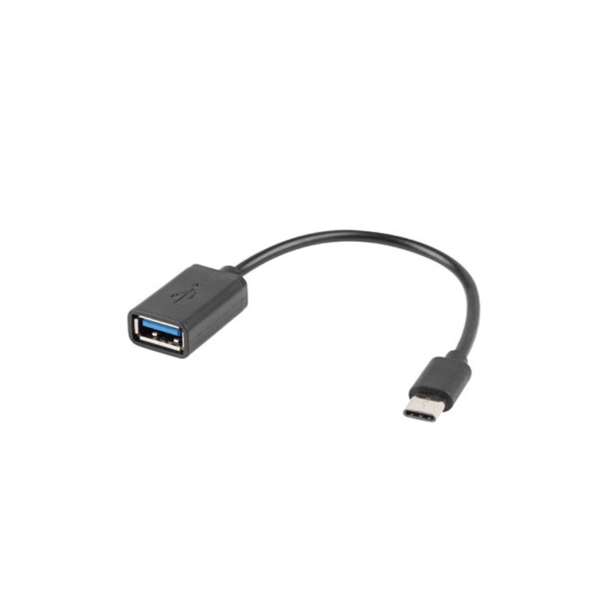 Adaptateur USB C vers USB Lanberg 15 cm