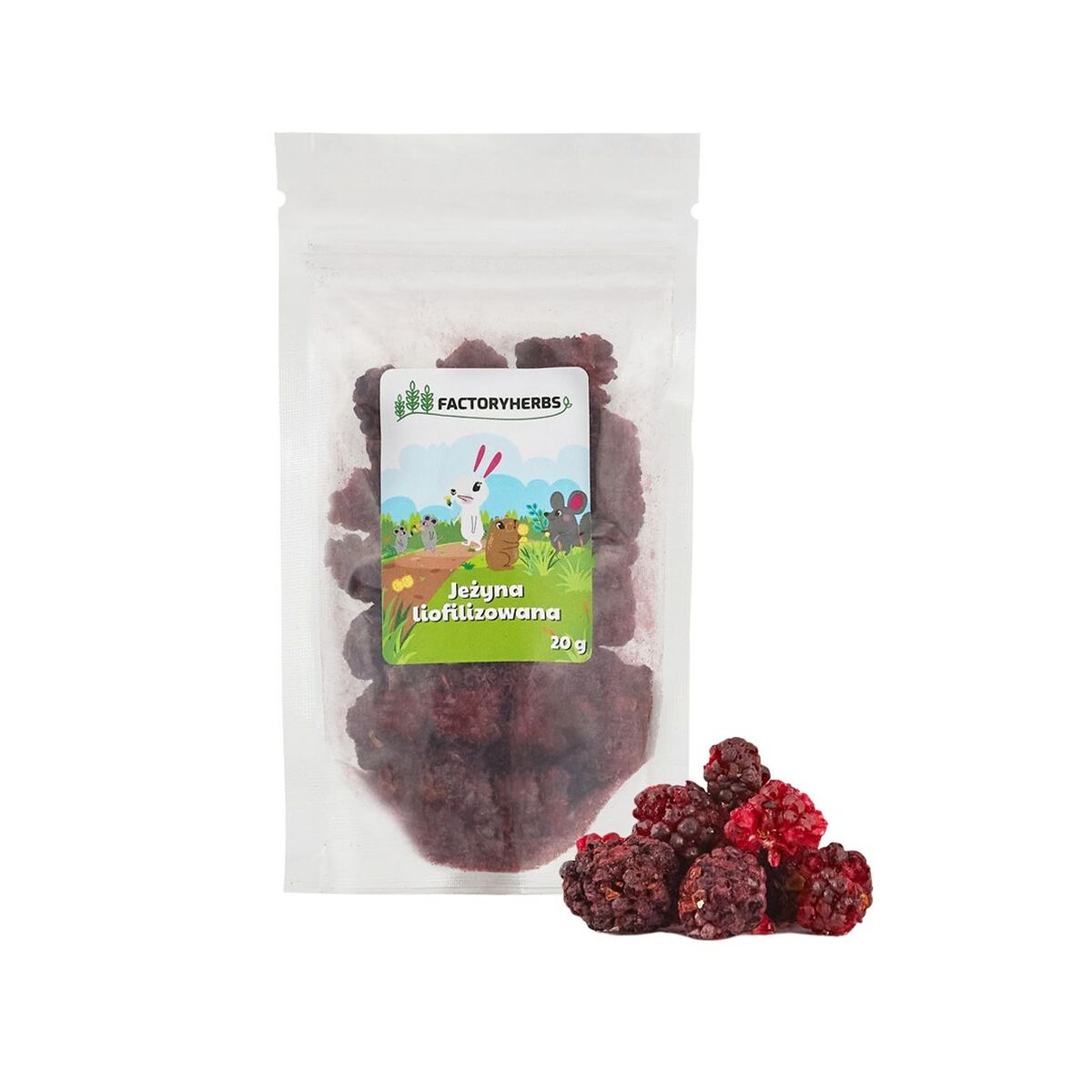 Τρόφιμα Κουνελιών Factoryherbs Freeze-dried blackberry Τσιντσιλά Ινδικό χοιρίδιο Χάμστερ Αρουραίος Ποντίκι Τρωκτικά Πουλιά