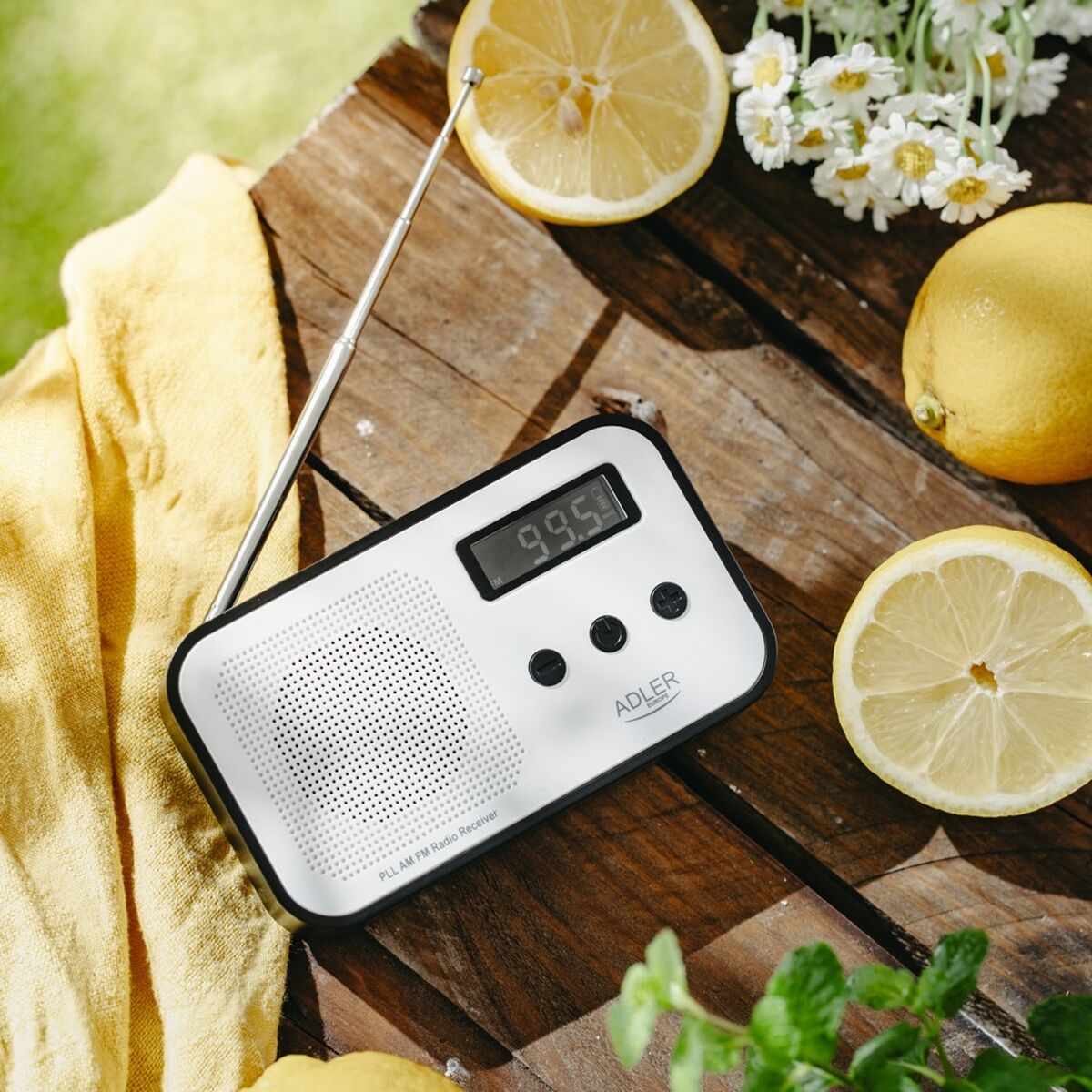 Radio Adler AD 1907