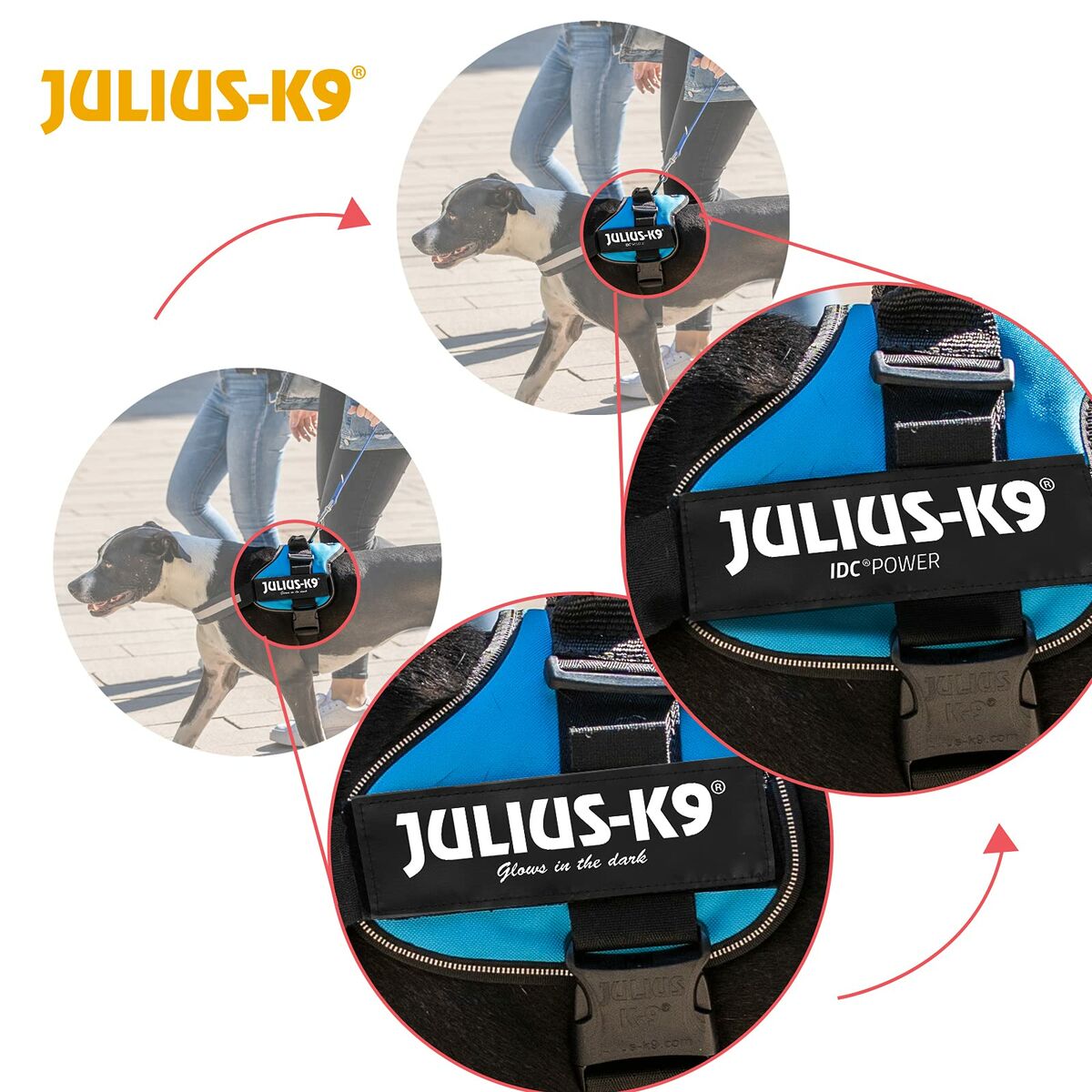 Hondentuigje Julius K9 Power Zwart M