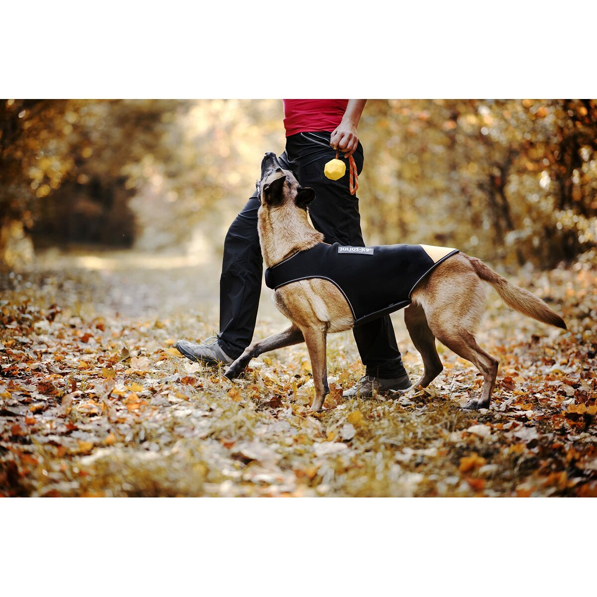 Dog Harness Julius K9 IDC L/XL 2, view 4