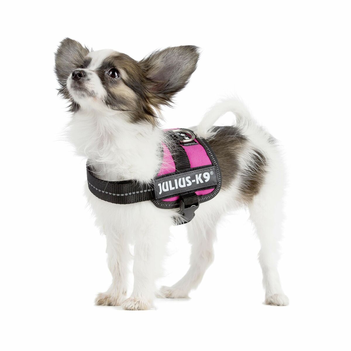 Dog Harness Trixie Fuchsia 1 Baby 1 (XS) 26-36 cm, view 3