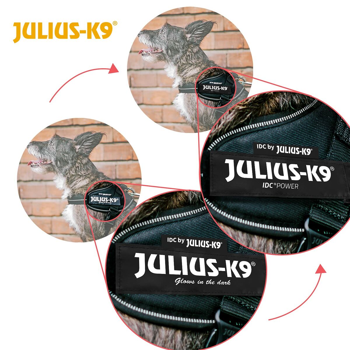Hondentuigje Julius K9 IDC Cowboy M