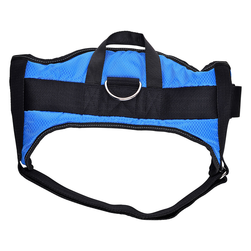 Dog Harness Hearts & Homies Blue Size L