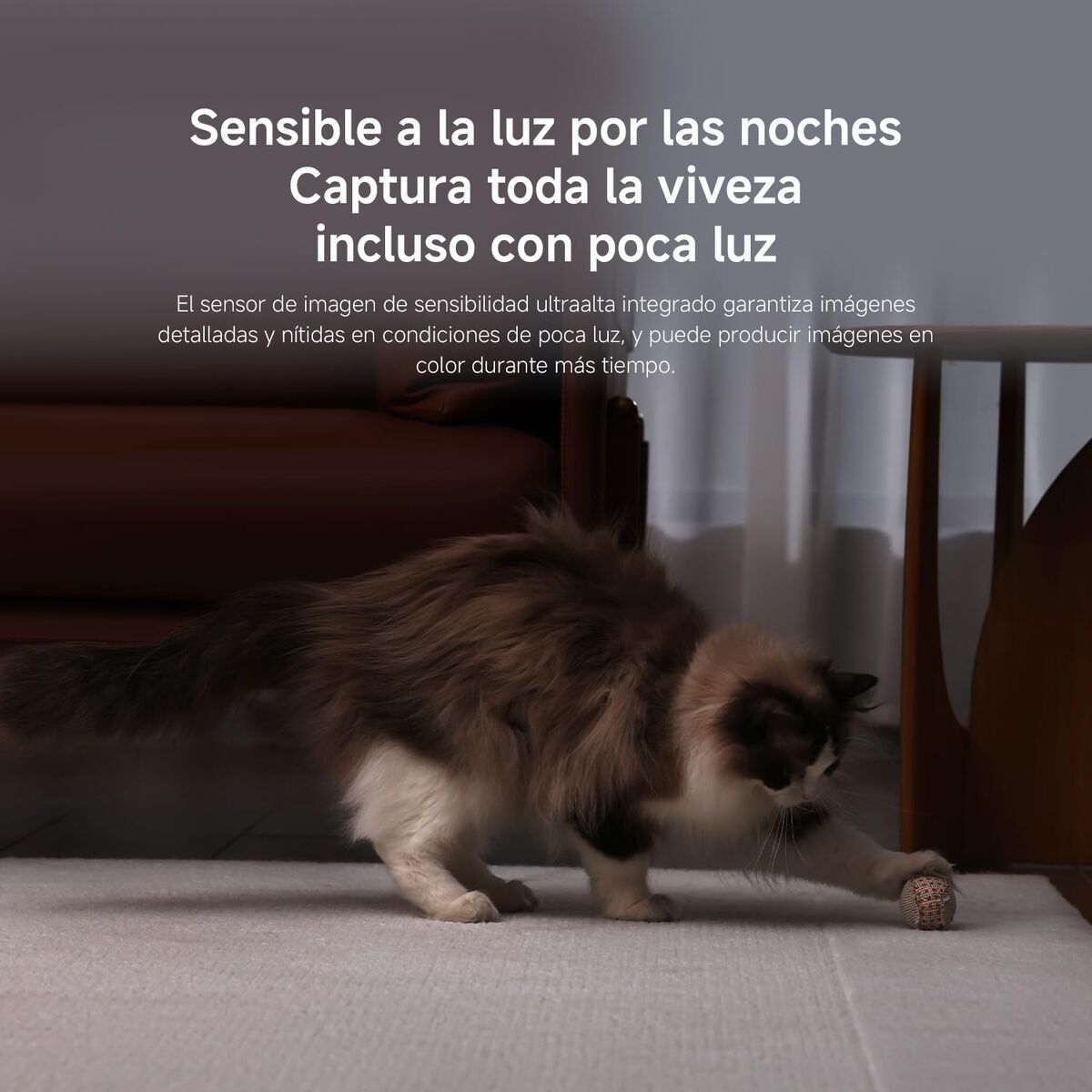 Beveiligingscamera Xiaomi
