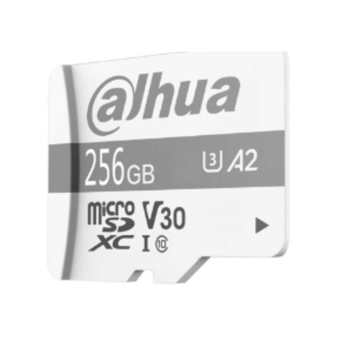 Disque dur DAHUA TECHNOLOGY P100 256 GB SSD