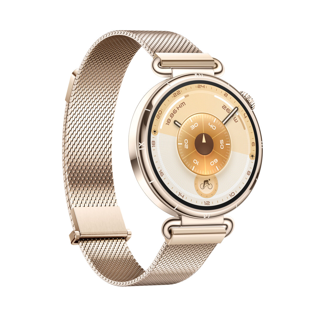 Picture of Smartwatch Huawei Watch GT 6 Konsu-B19M Golden 1,32"