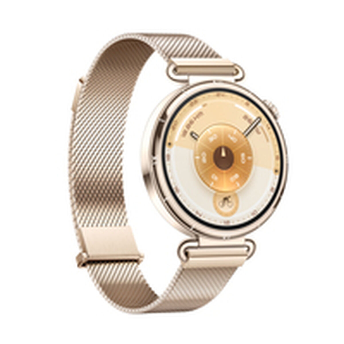 Picture of Smartwatch Huawei Watch GT 6 Konsu-B19M Golden 1,32"