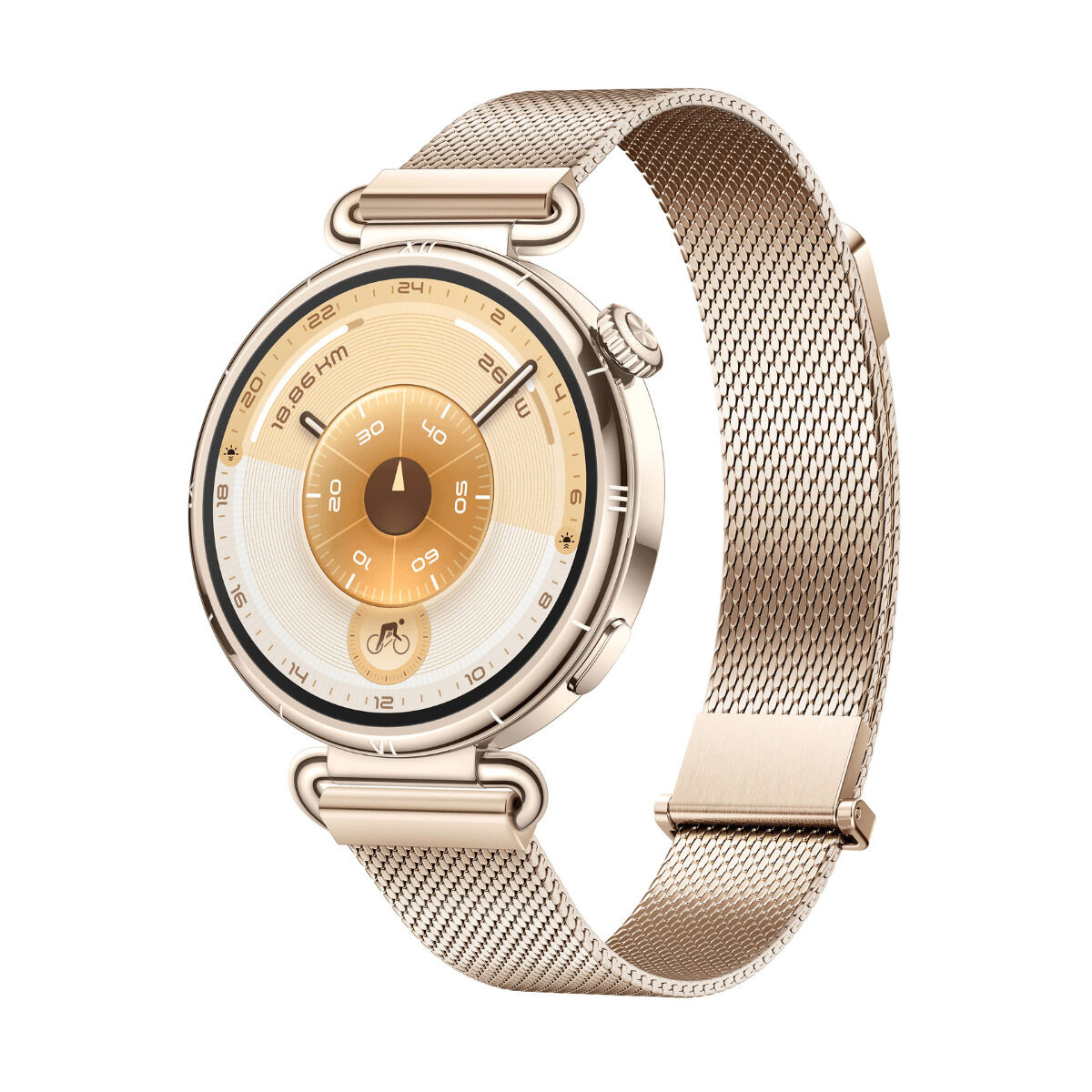 Picture of Smartwatch Huawei Watch GT 6 Konsu-B19M Golden 1,32"