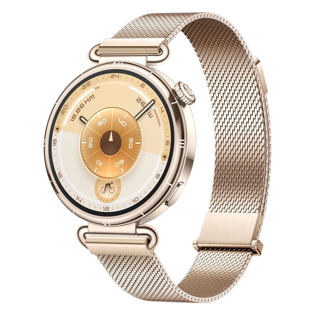 Picture of Smartwatch Huawei Watch GT 6 Konsu-B19M Golden 1,32"