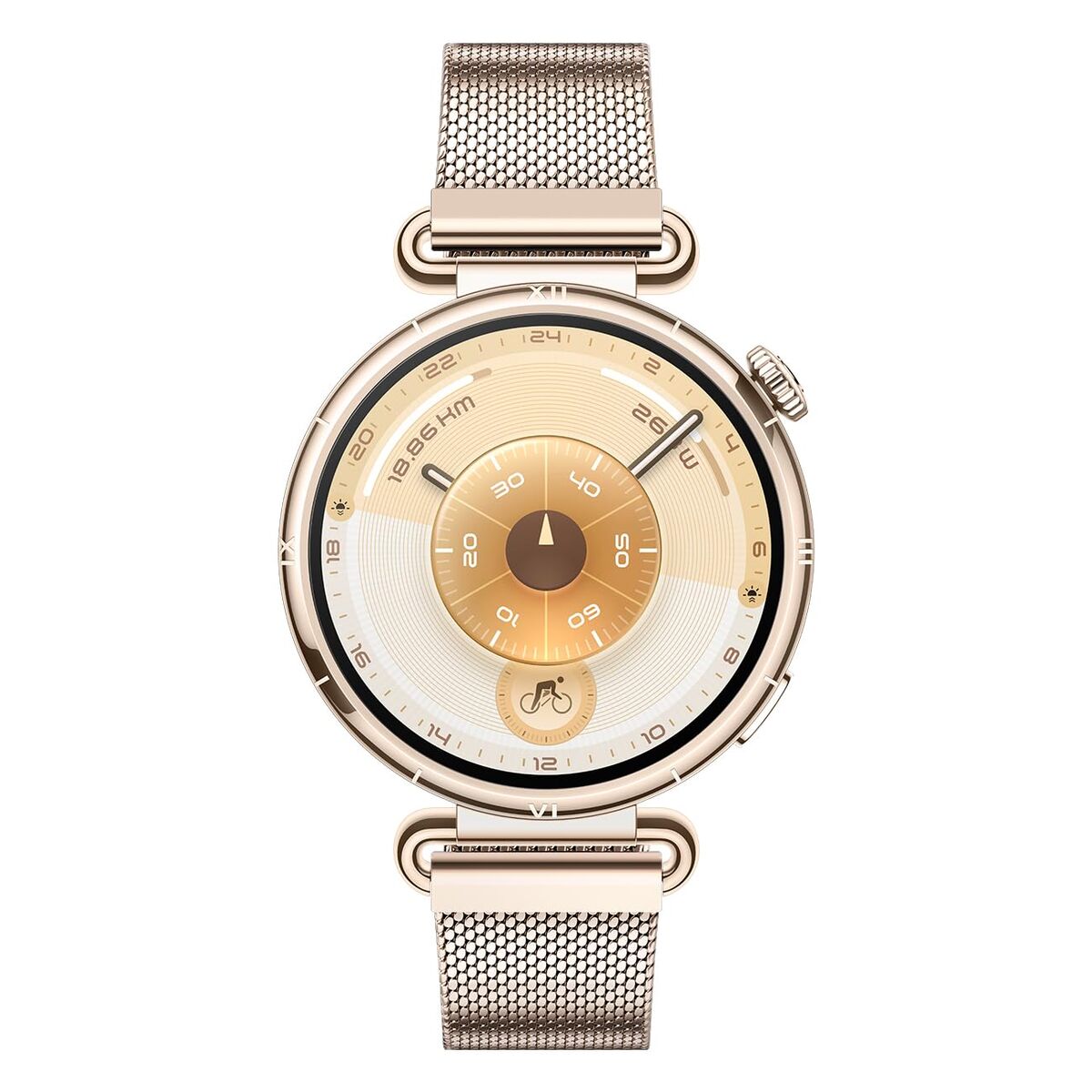 Picture of Smartwatch Huawei Watch GT 6 Konsu-B19M Golden 1,32"