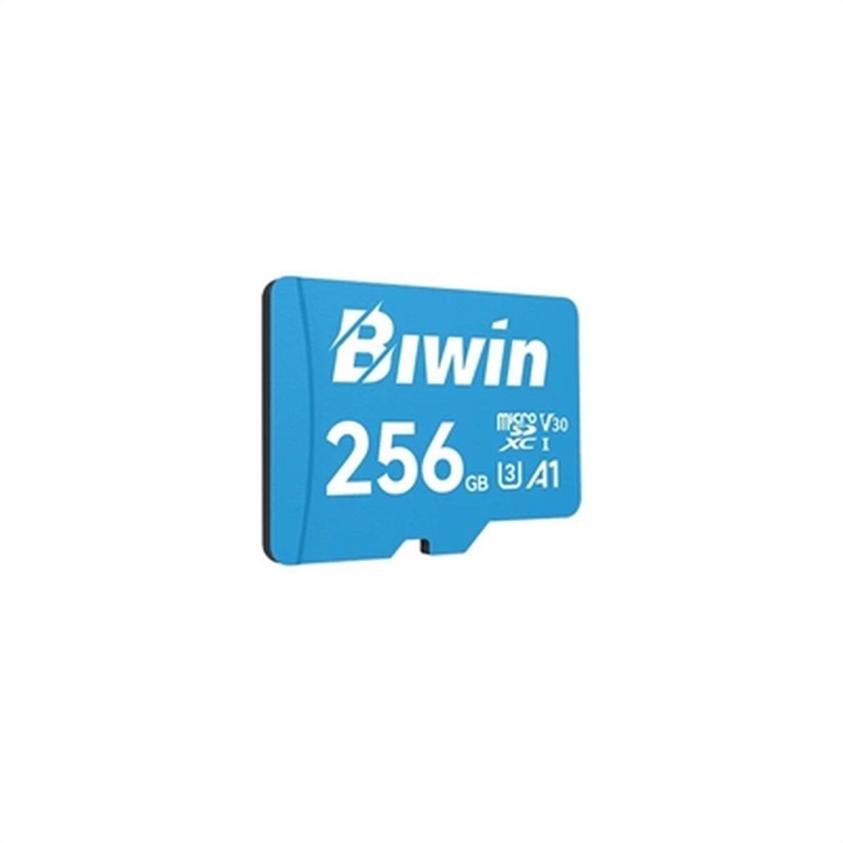 Afbeeldingen van Memory Card Micro SDXC Biwin MS100 256 GB