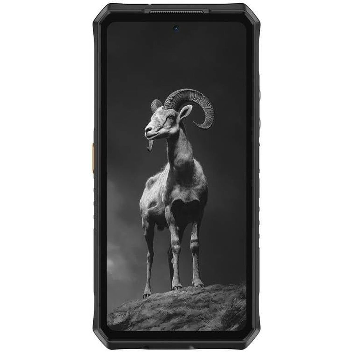 Smartphone Ulefone ARMOR 28 PRO 6,67" 16 GB RAM 16 GB 512 GB Black
